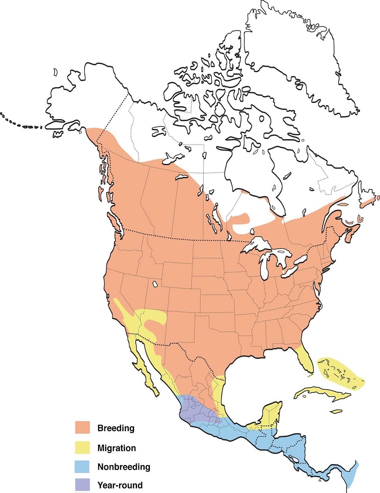 Barn Swallows Range Map: