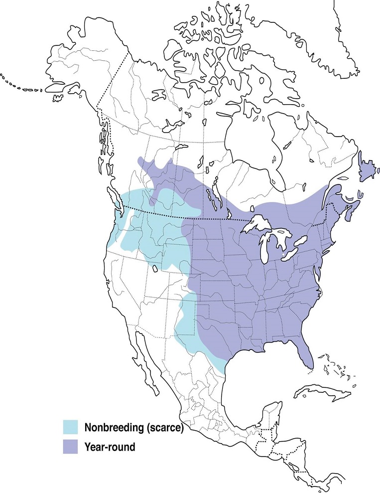 Blue Jays Range Map: