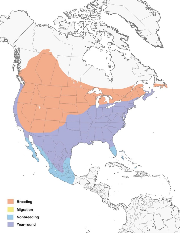 Brown-headed Cowbirds Range Map: