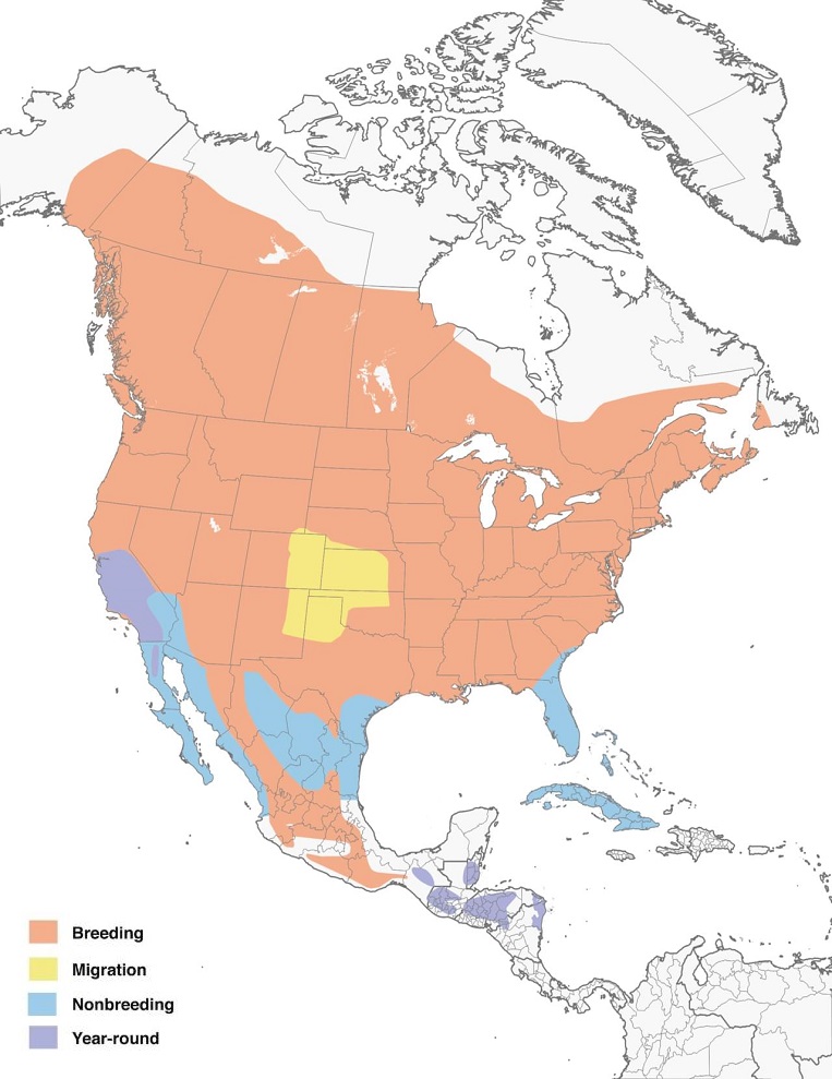 Chipping Sparrows Range Map: