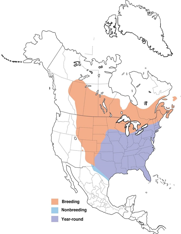 Common Grackles Range Map: