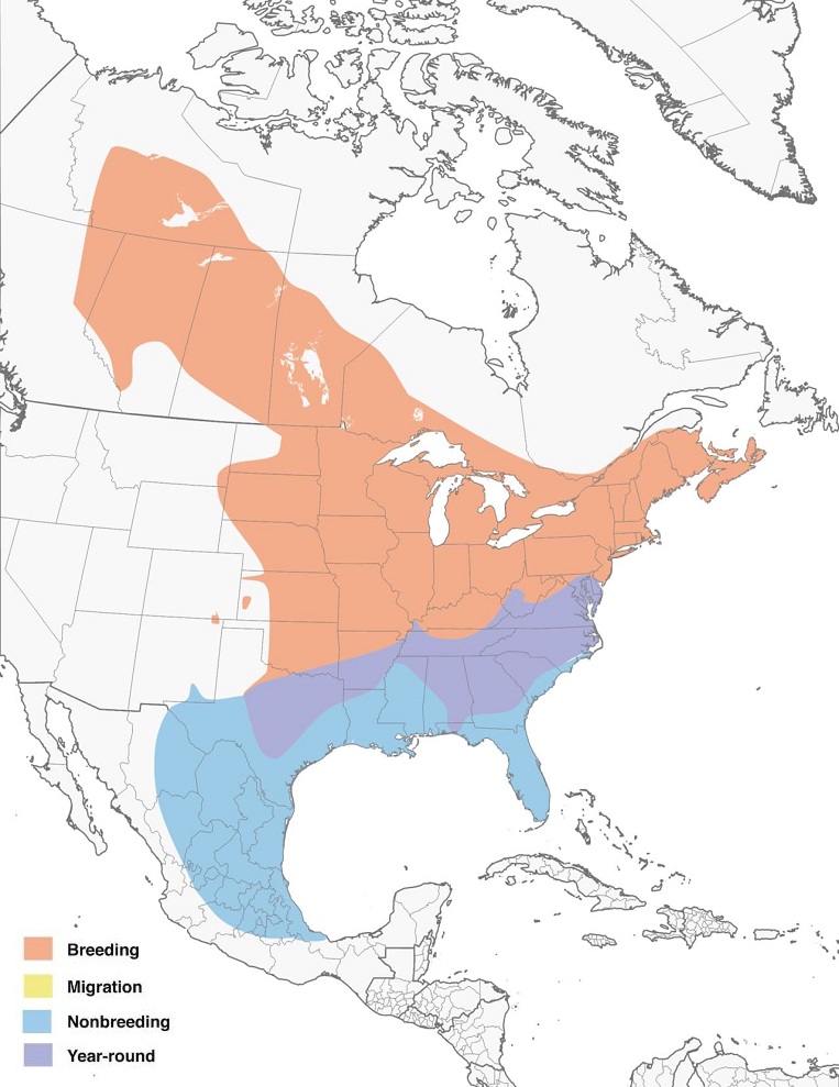 Eastern Phoebes Range Map: