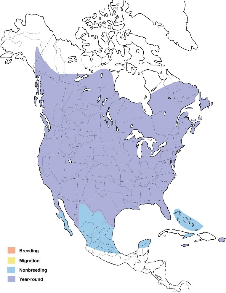 European Starlings Range Map: