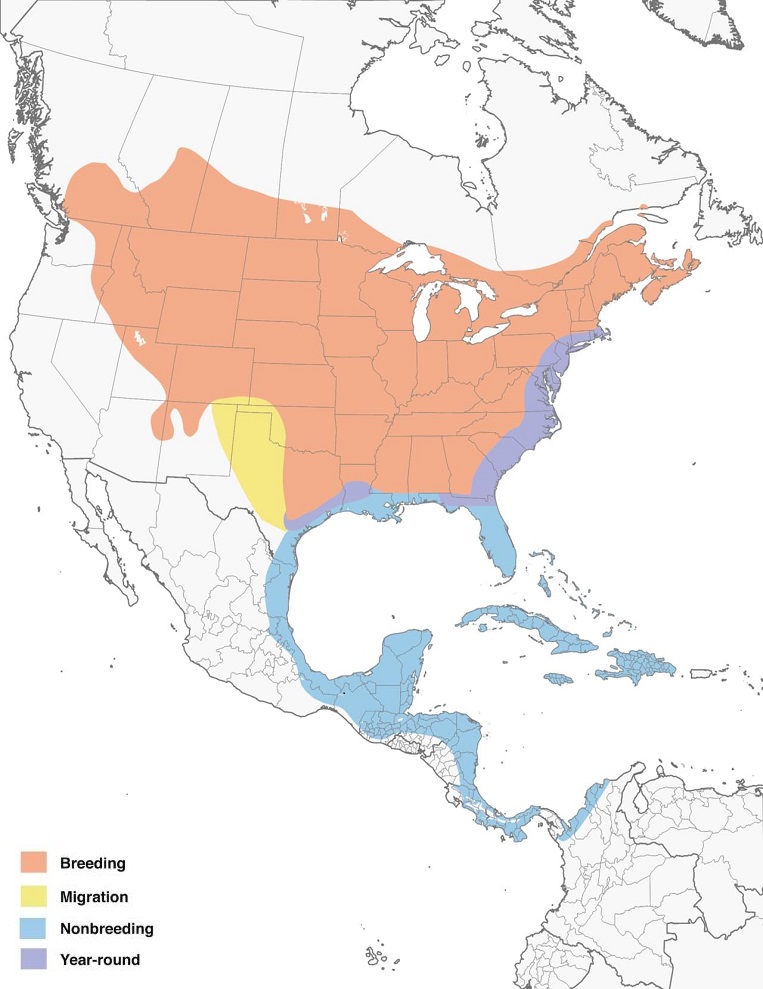 Gray Catbirds Range Map: