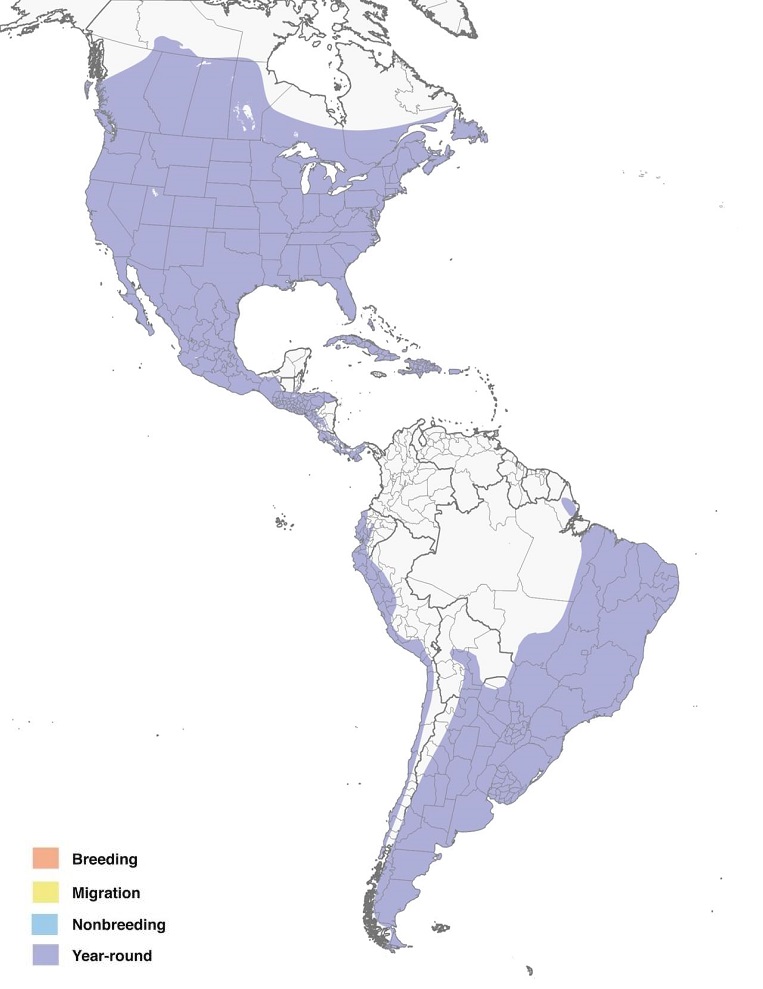 House Sparrows Range Map: