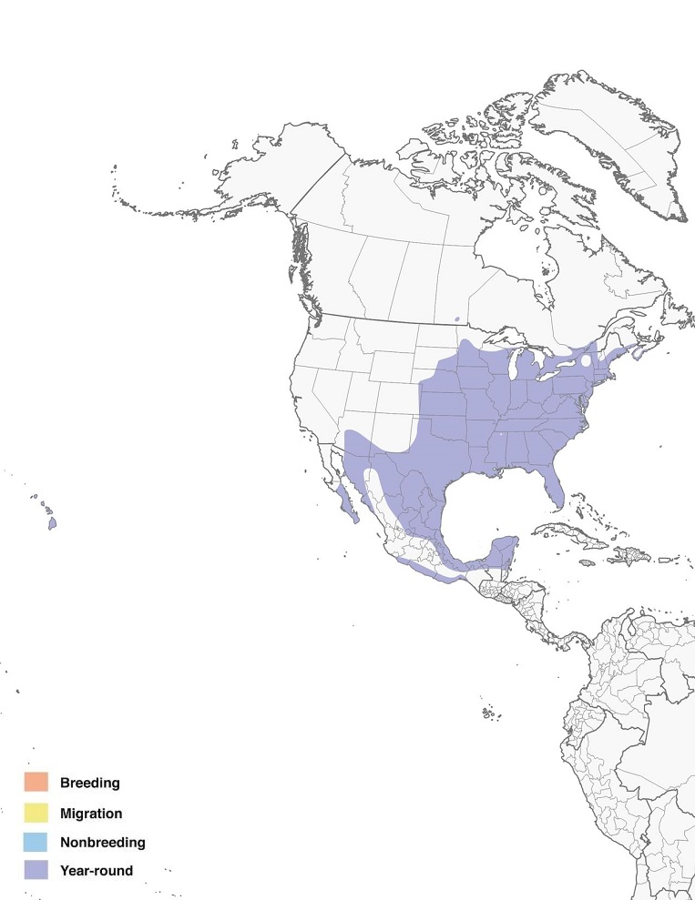 Northern Cardinals Range Map: