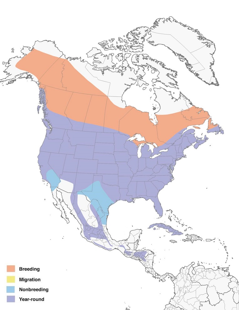 Northern Flickers Range Map: