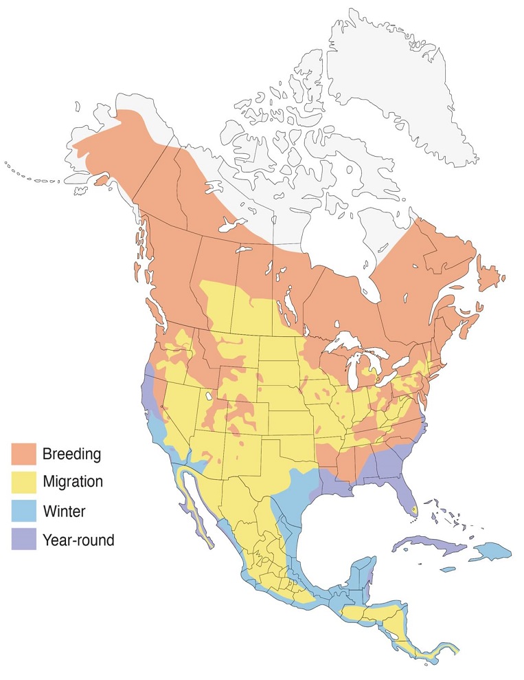 Ospreys Range Map: