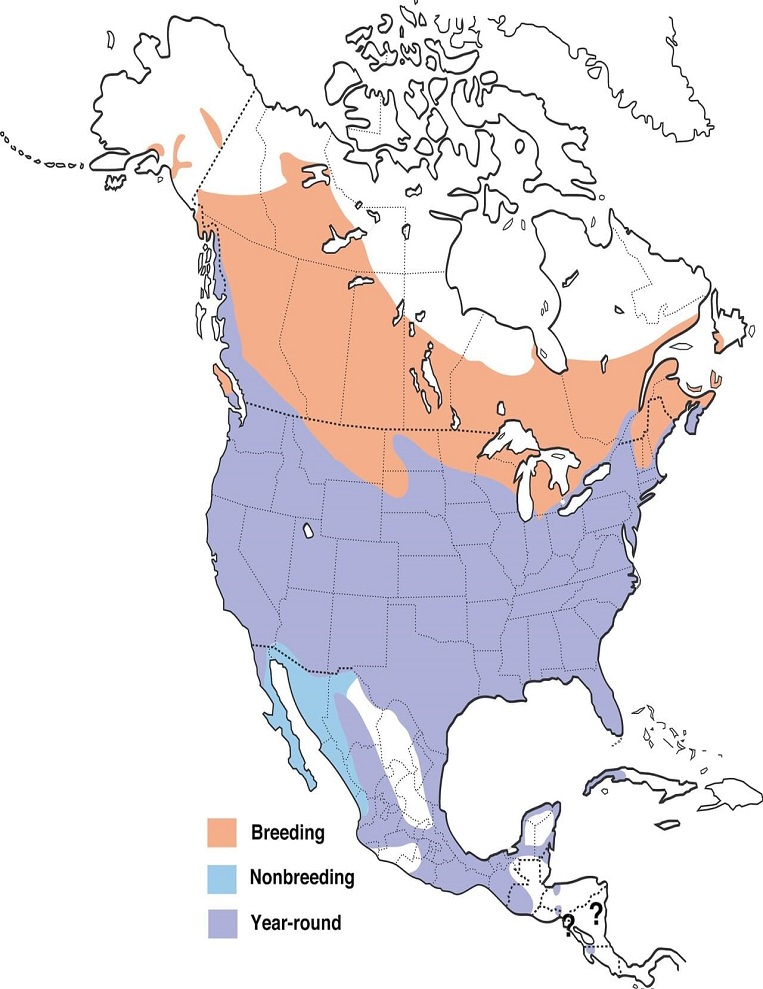 Red-winged Blackbirds Range Map: