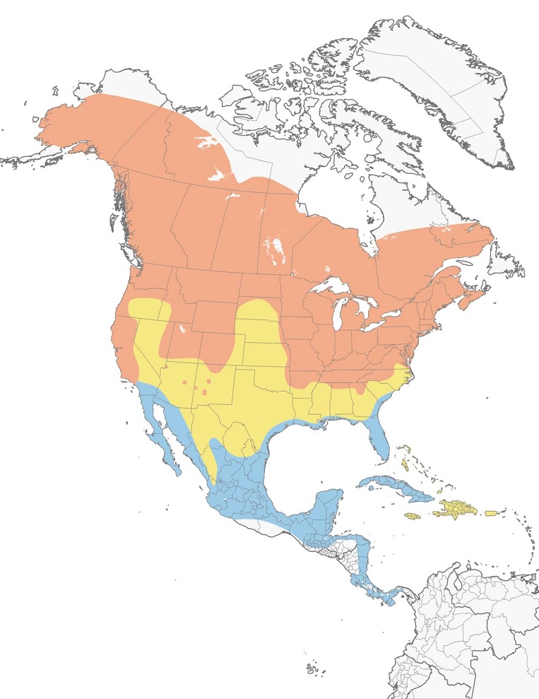Tree Swallows Range Map: