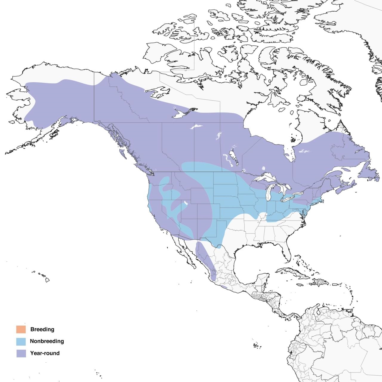Northern Goshawk Range Map: