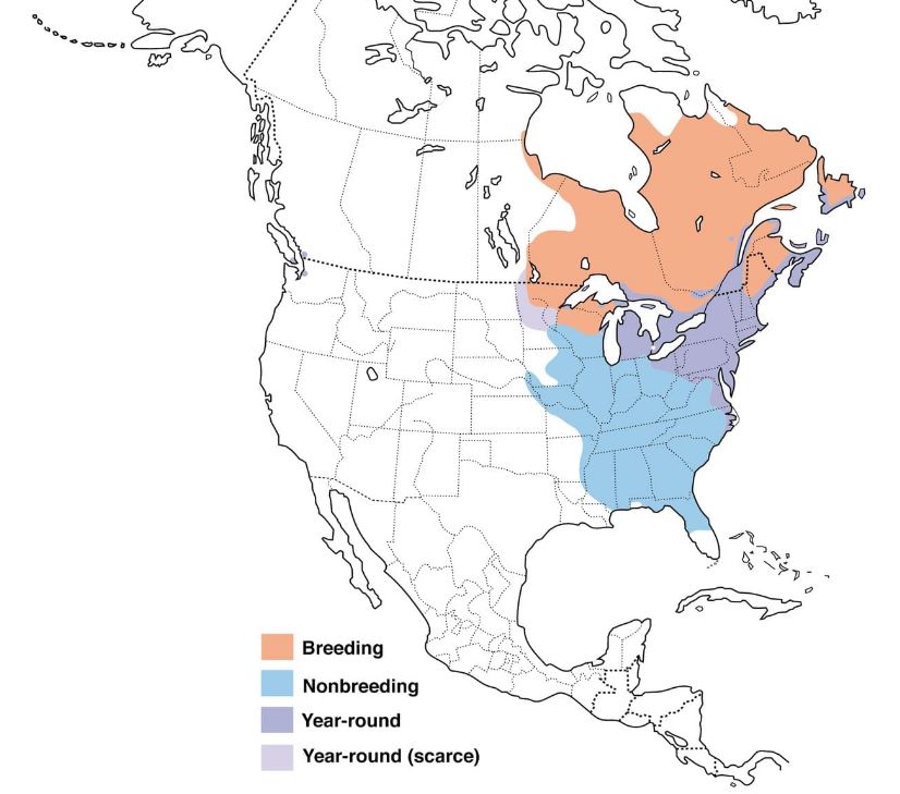 American Black Duck Range Map