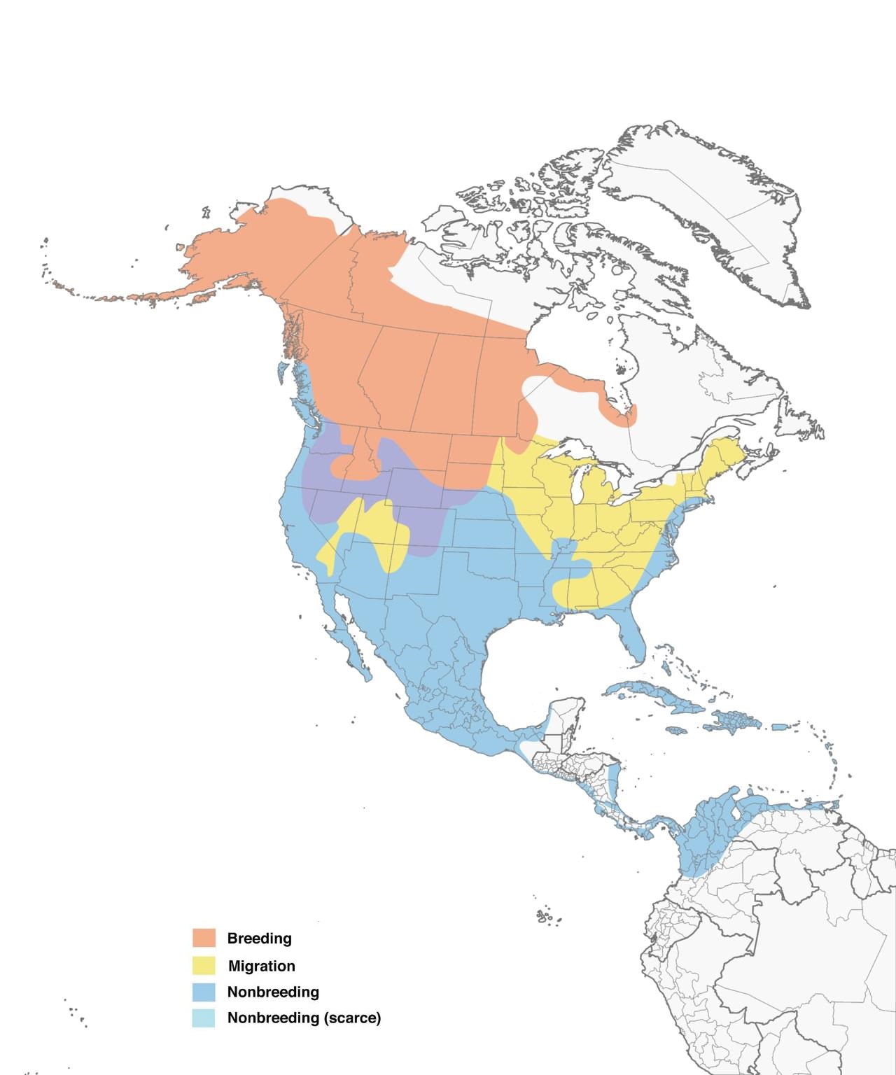 American Wigeon Range Map New