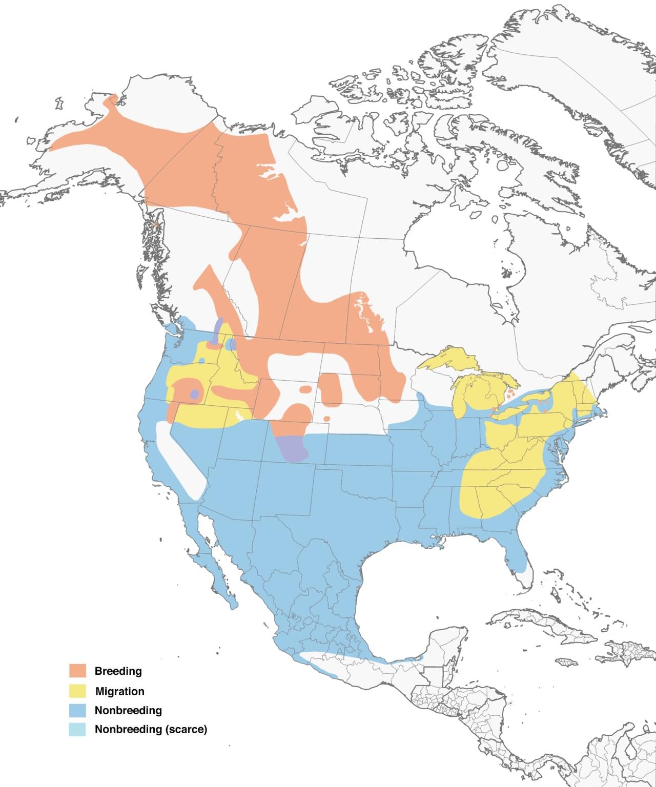 Canvasback Range Map New