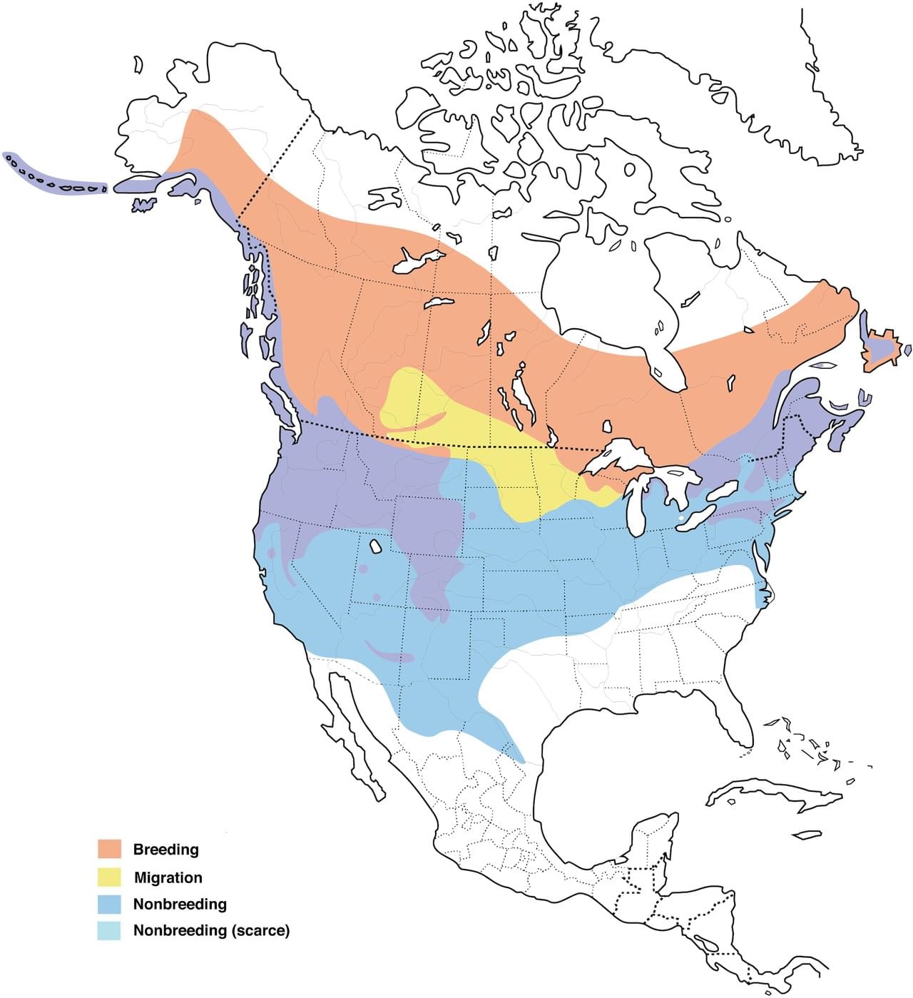 Common Mergansers Range Map New
