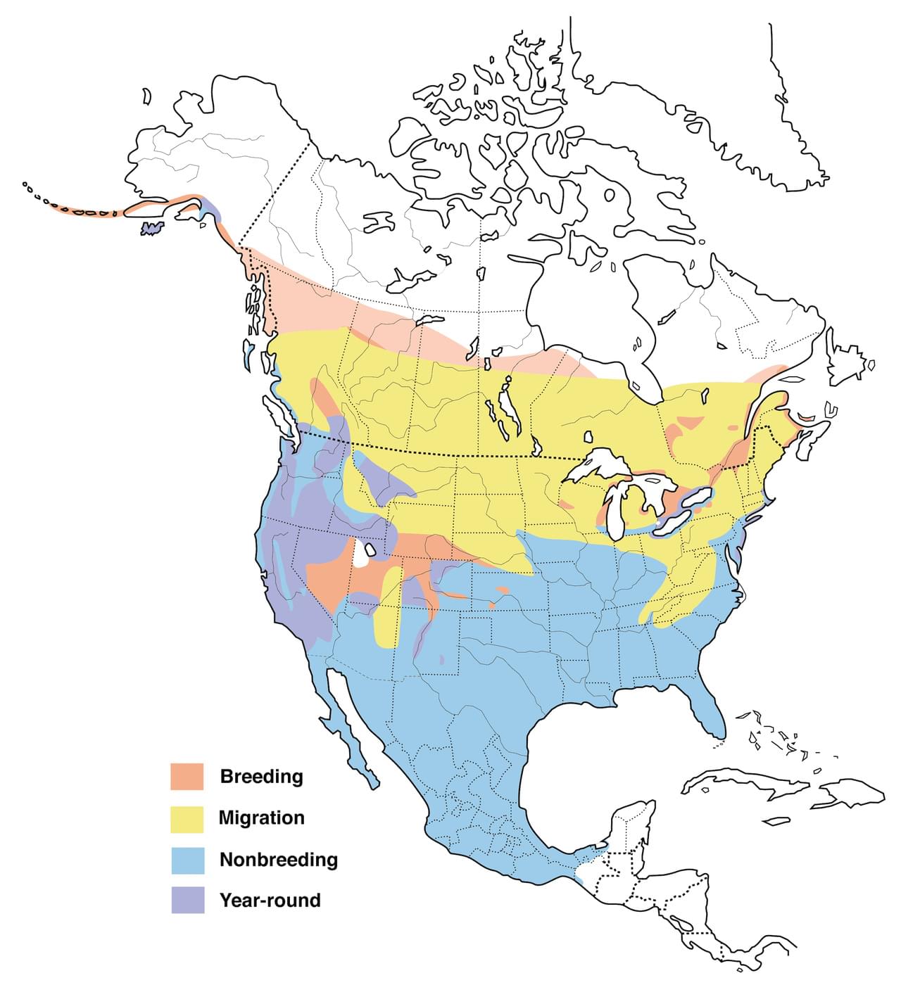 Gadwalls Range Map New