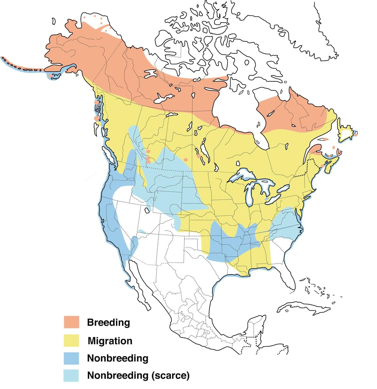 Greater Scaups Range Map New