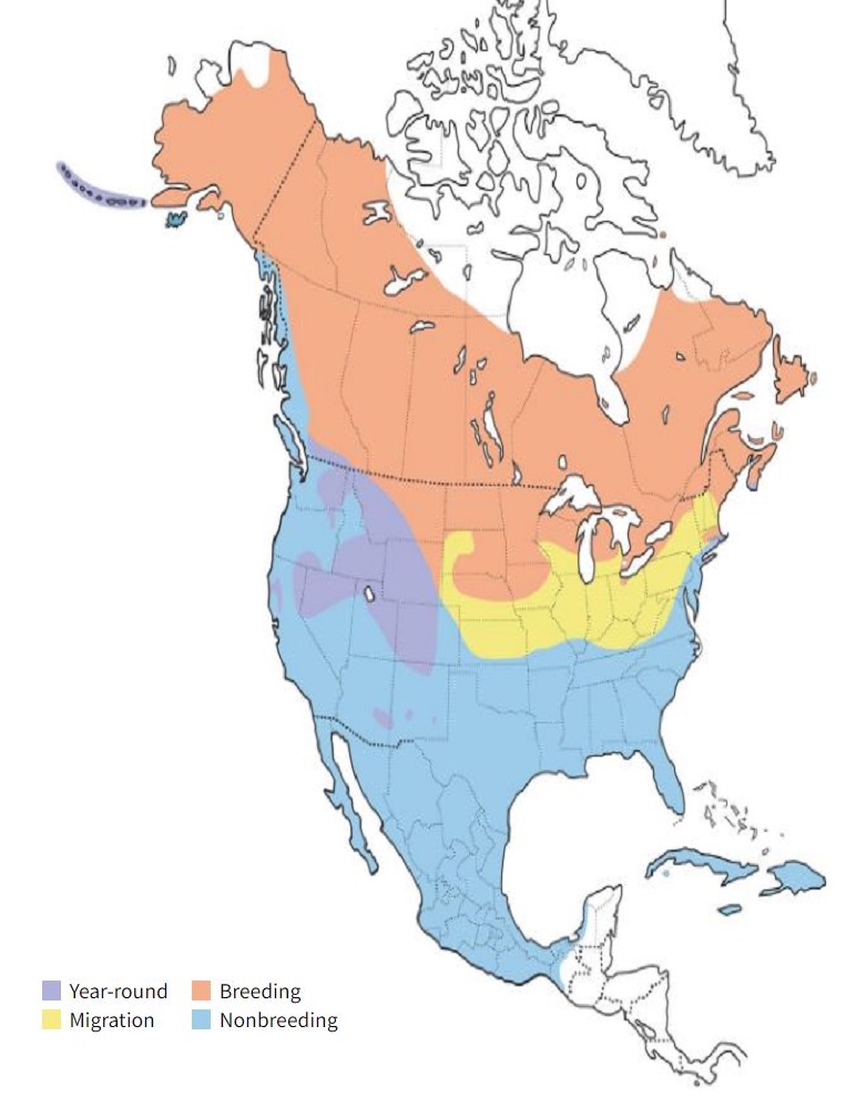 Green-winged Teal Range Map
