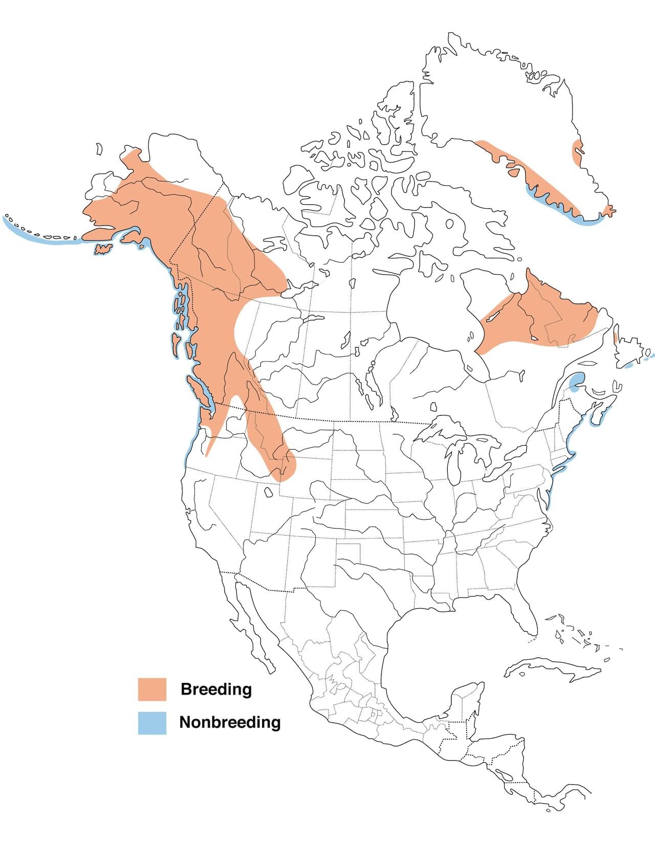 Harlequin Duck Range Map New