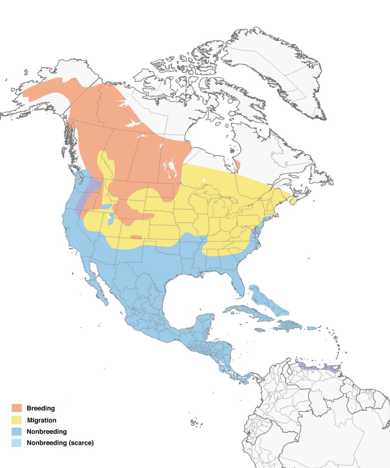 Lesser Scaups Range Map NEW
