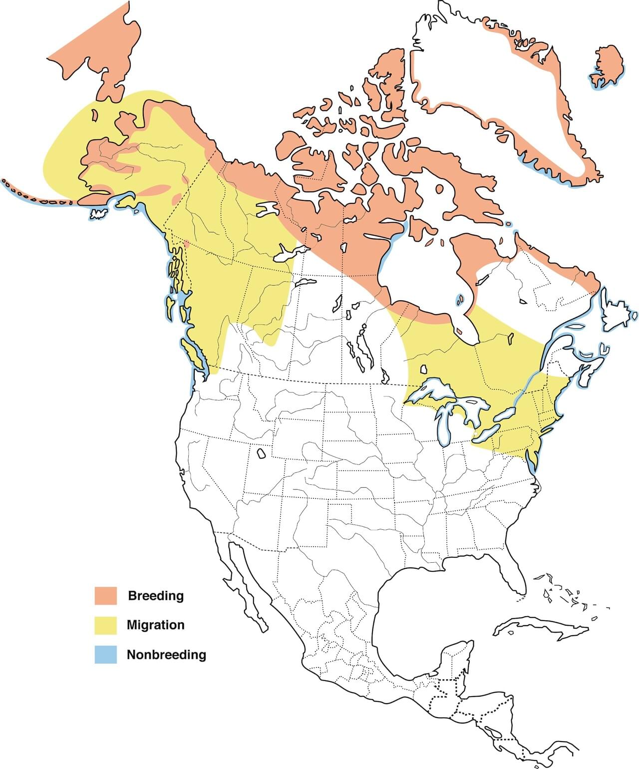 Long-tailed Duck Range Map New