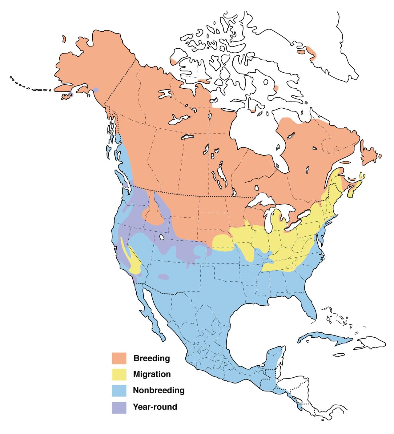 Northern Pintails Range Map New