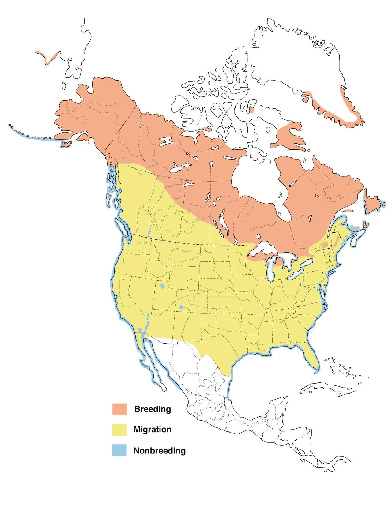 Red-breasted Mergansers Range Map New