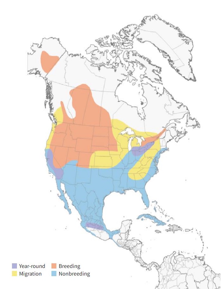 Redhead Range Map