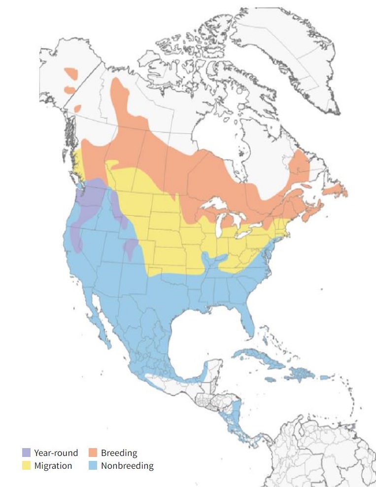 Ring-necked Duck Range Map