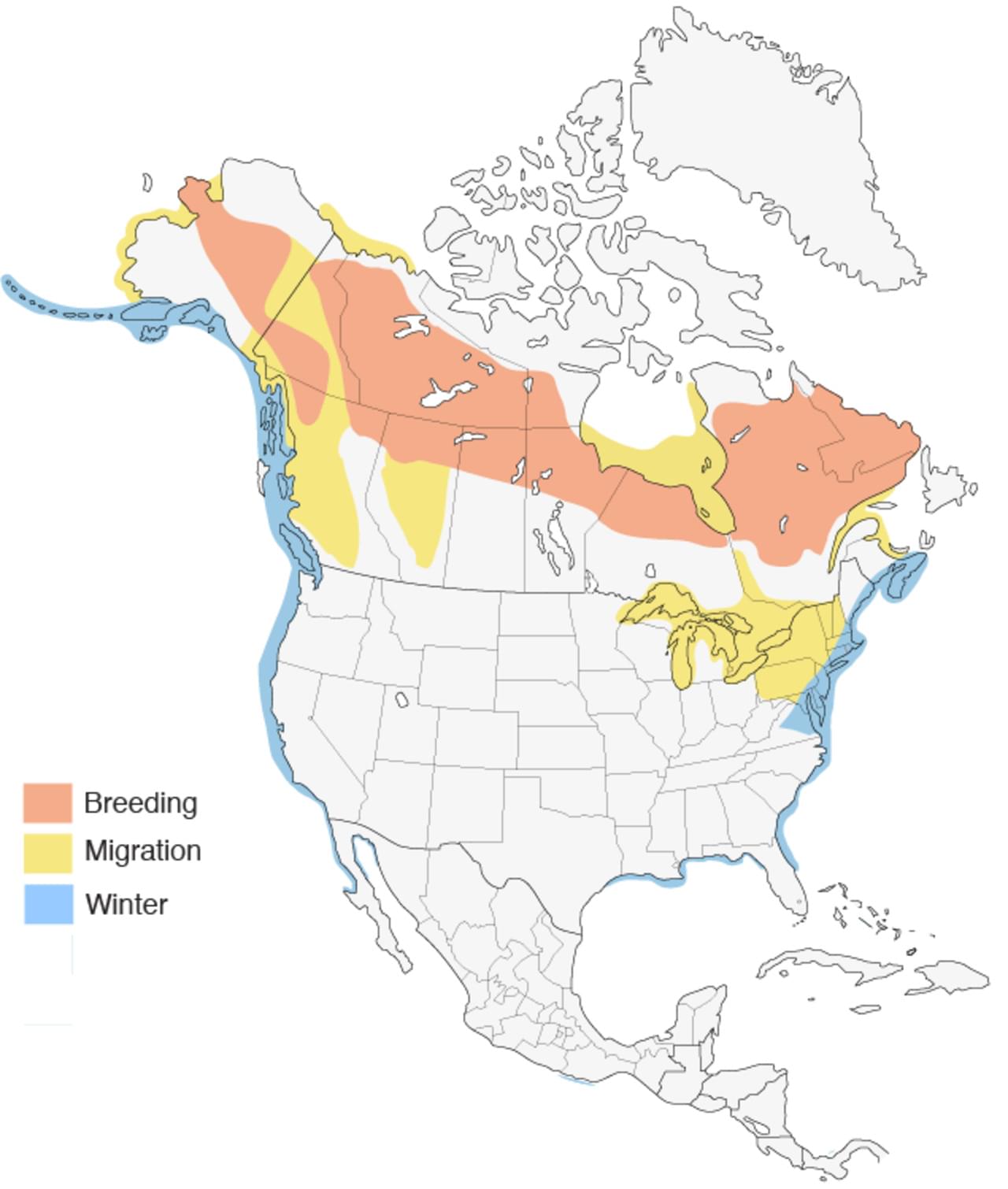 Surf Scoter Range Map New