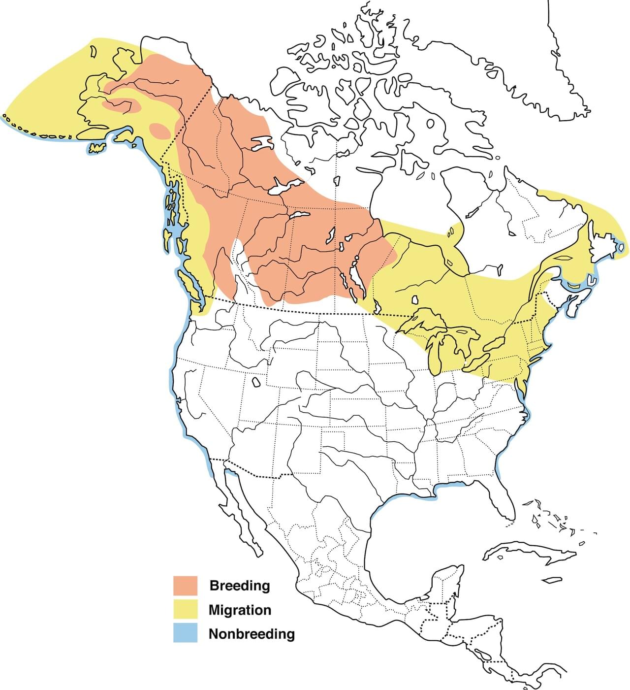 White-winged Scoter Range Map New