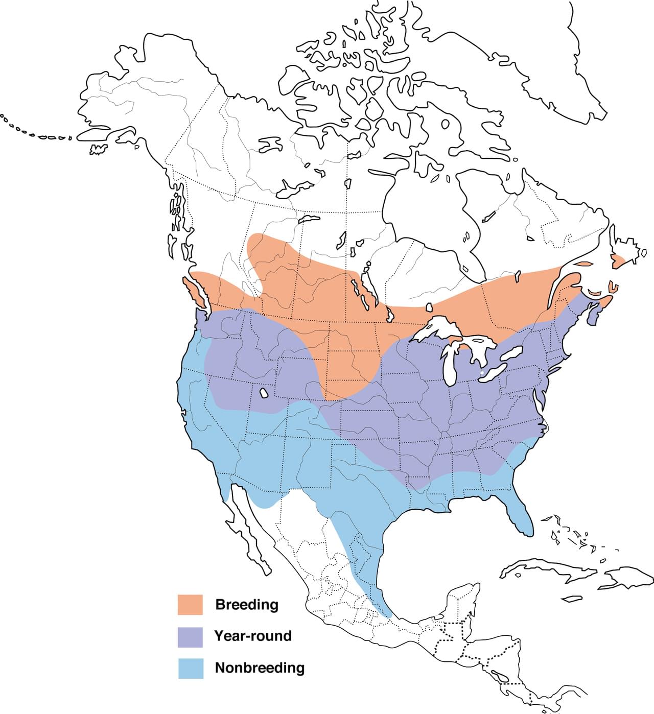 American Goldfinch Range Map: