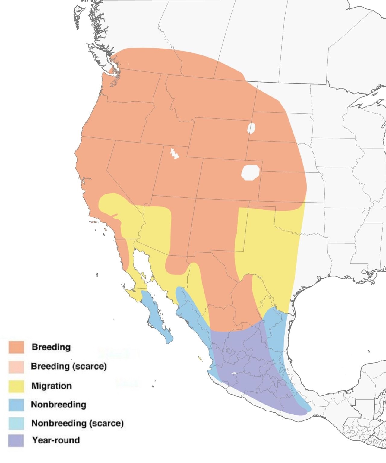 Black-headed Grosbeak Range Map: