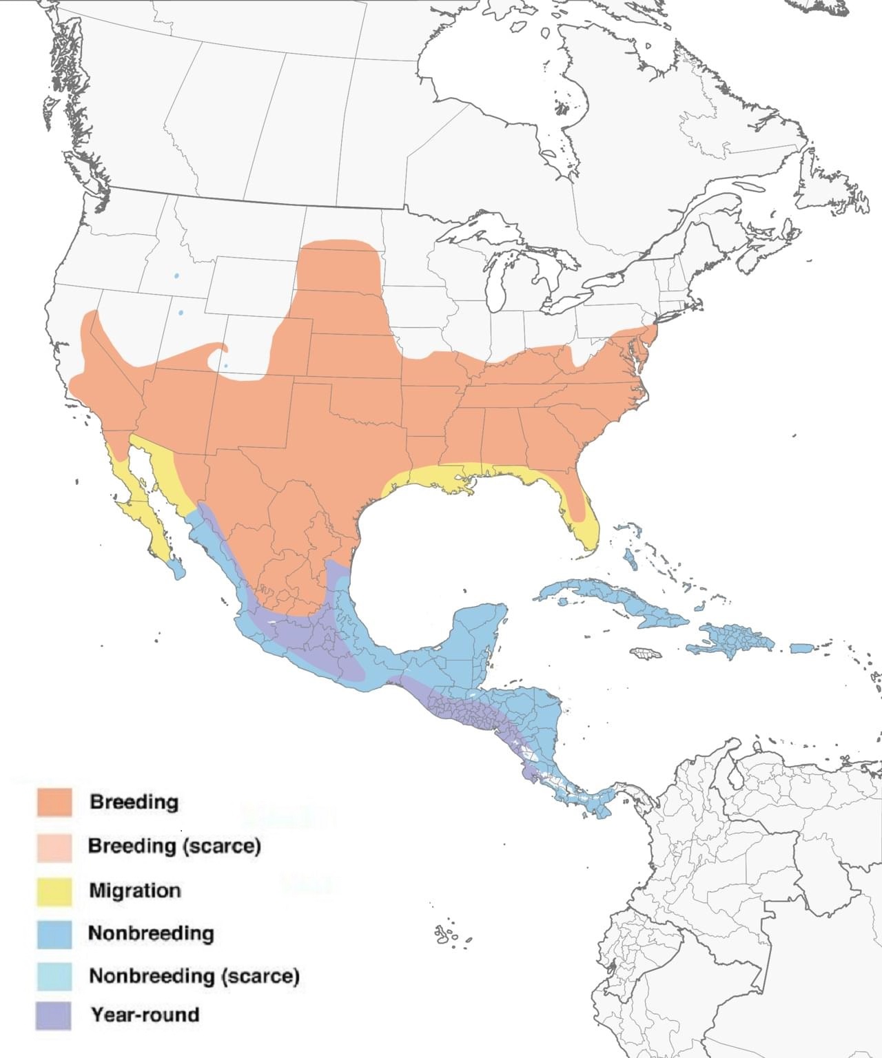 Blue Grosbeak Range Map: