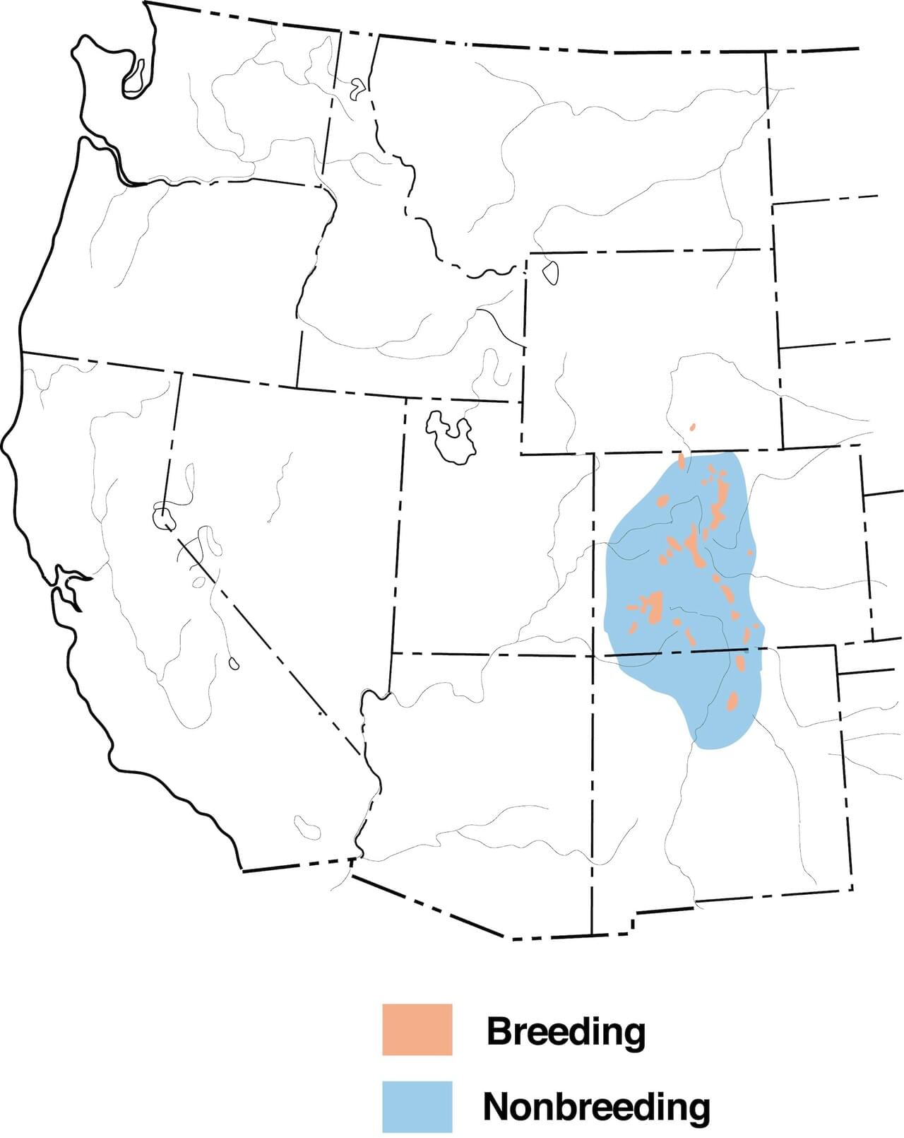 Brown-capped Rosy Finch Range Map:
