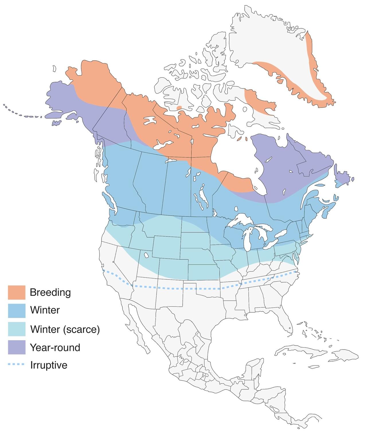 Common Redpoll Range Map: