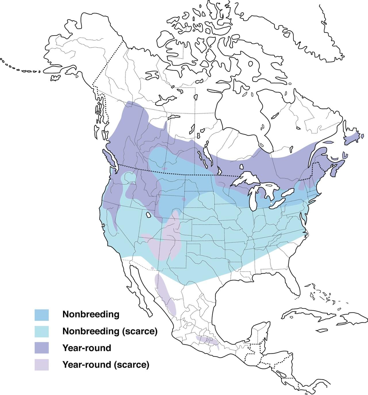 Evening Grosbeak Range Map: