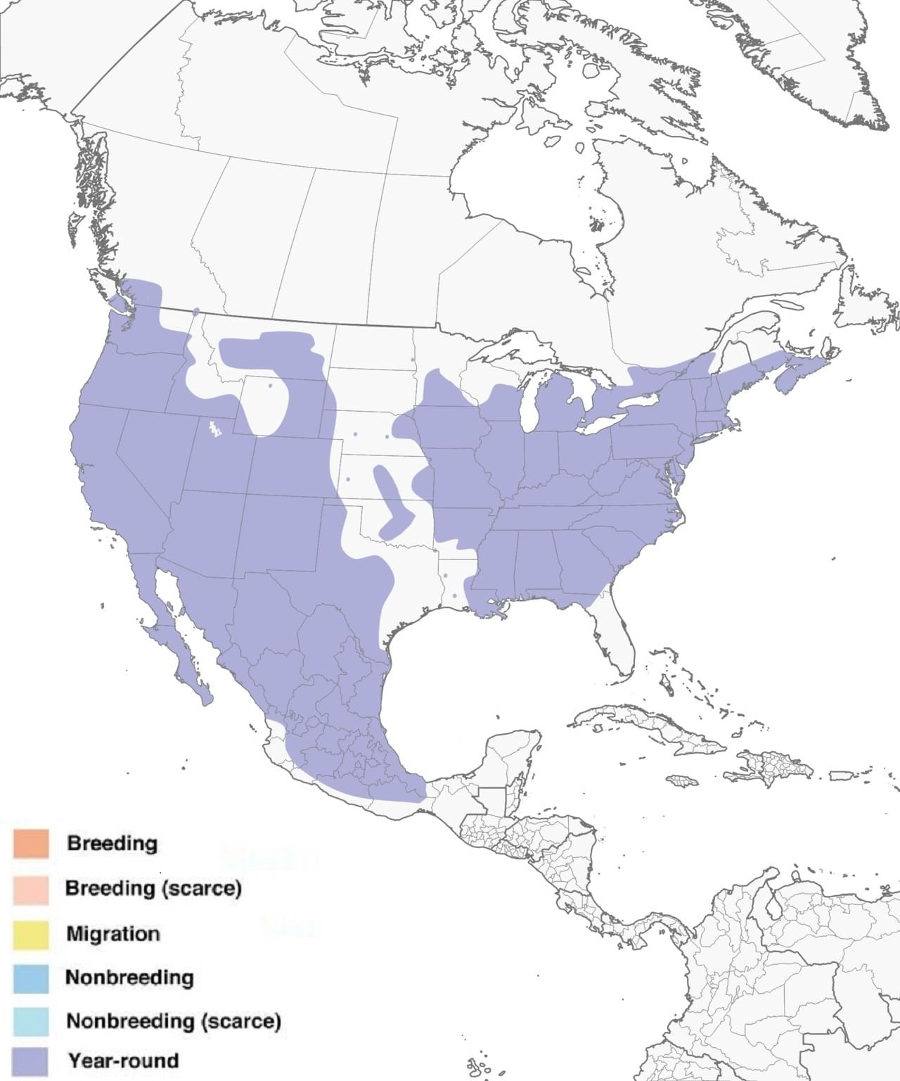 House Finch Range Map: