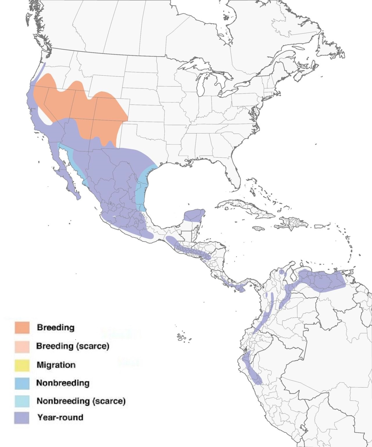 Lesser Goldfinch Range Map: