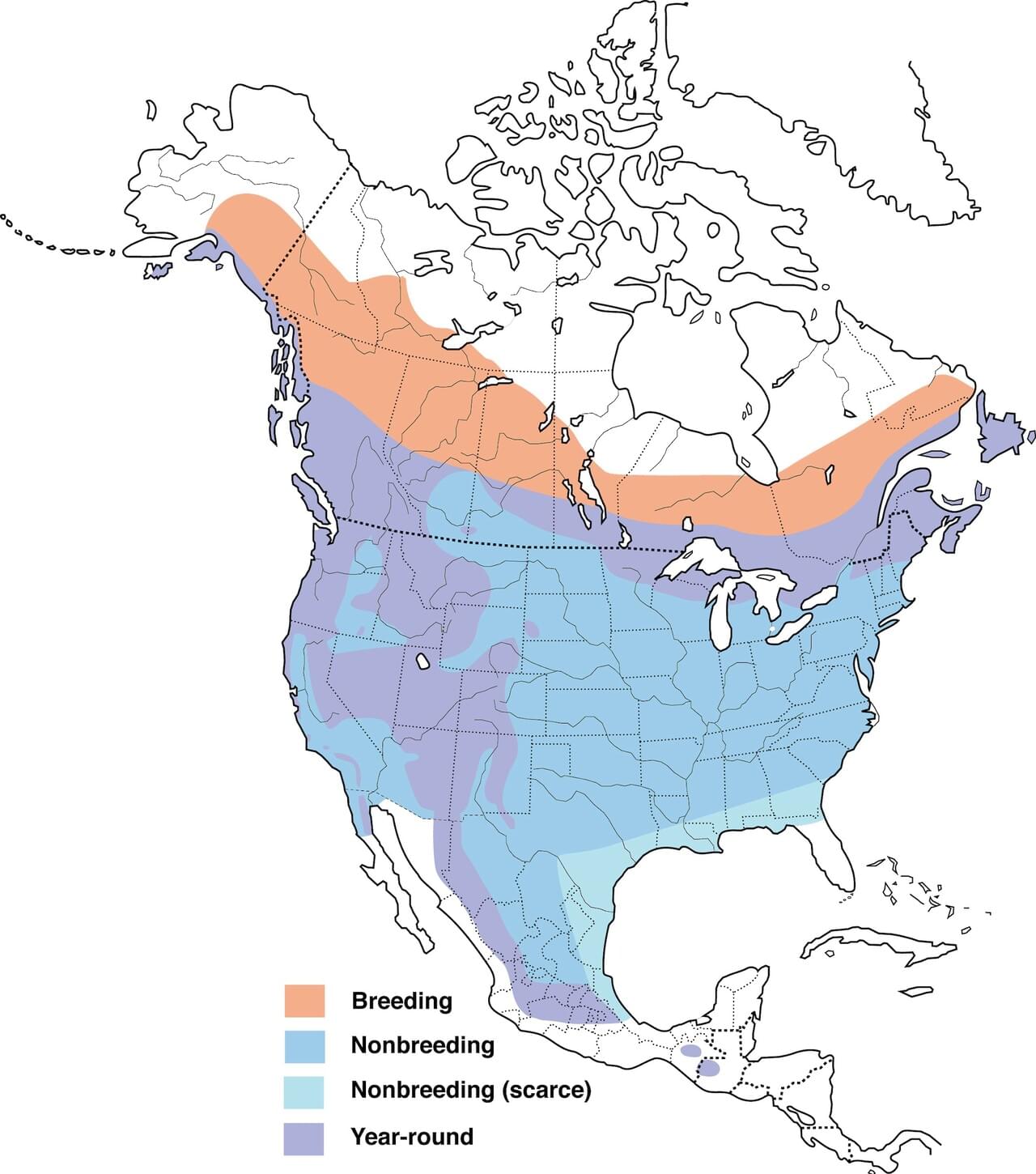 Pine Siskin Range Map: