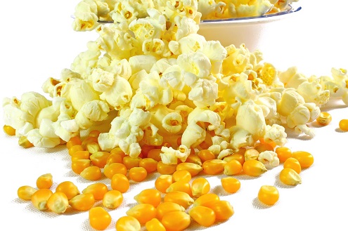 Popped Popcorn and Birds