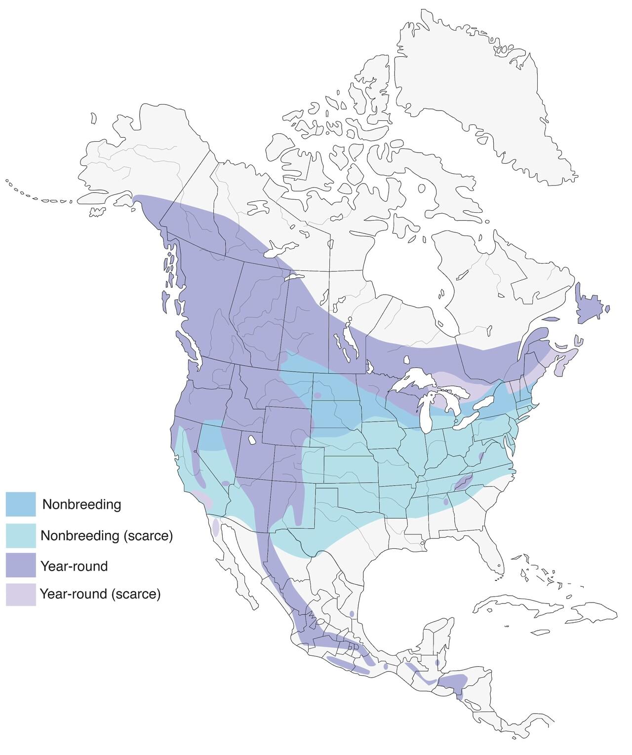 Red Crossbill Range Map: