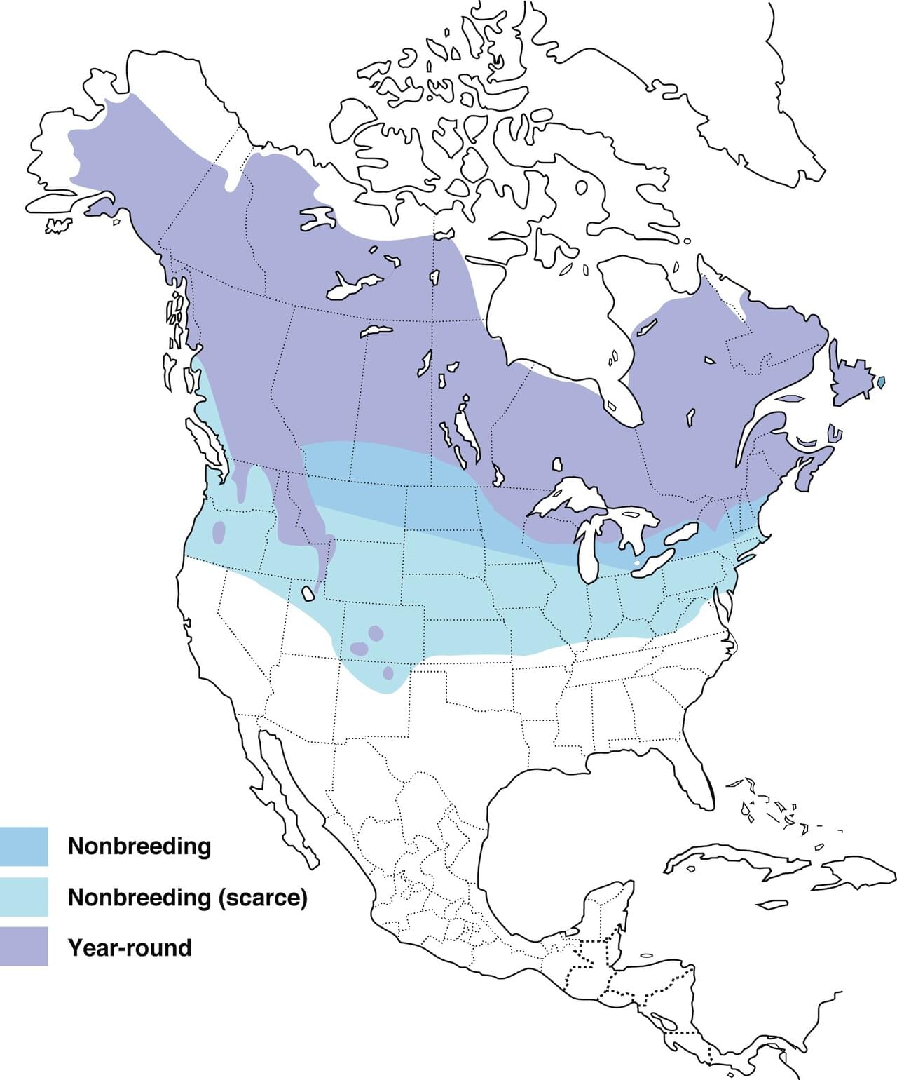 White-winged Crossbill Range Map: