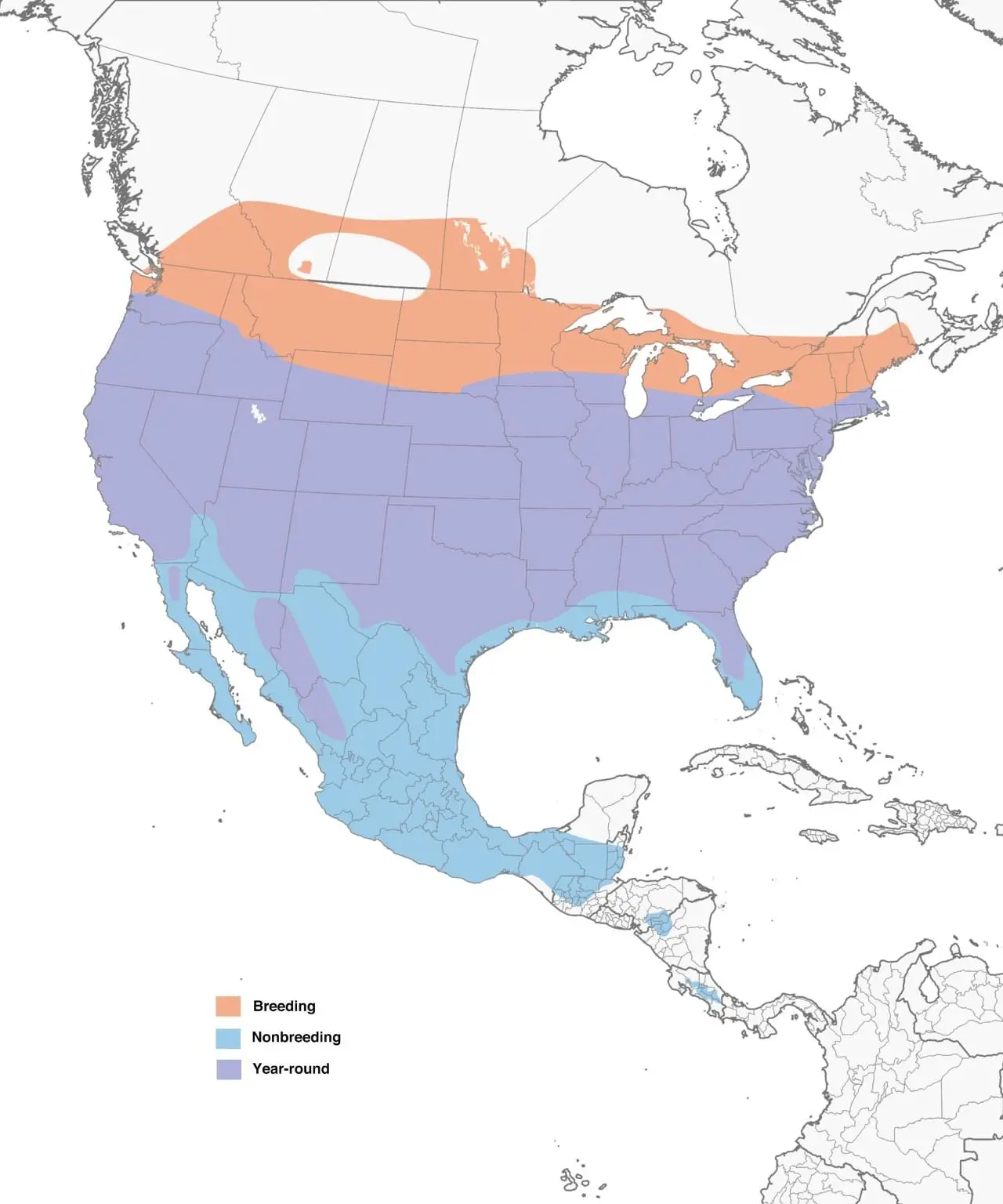 Cooper’s Hawk Range Map: