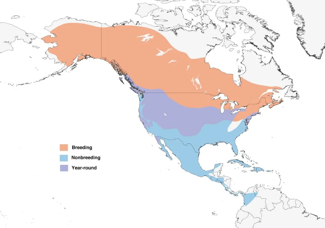 Northern Harrier Range Map: