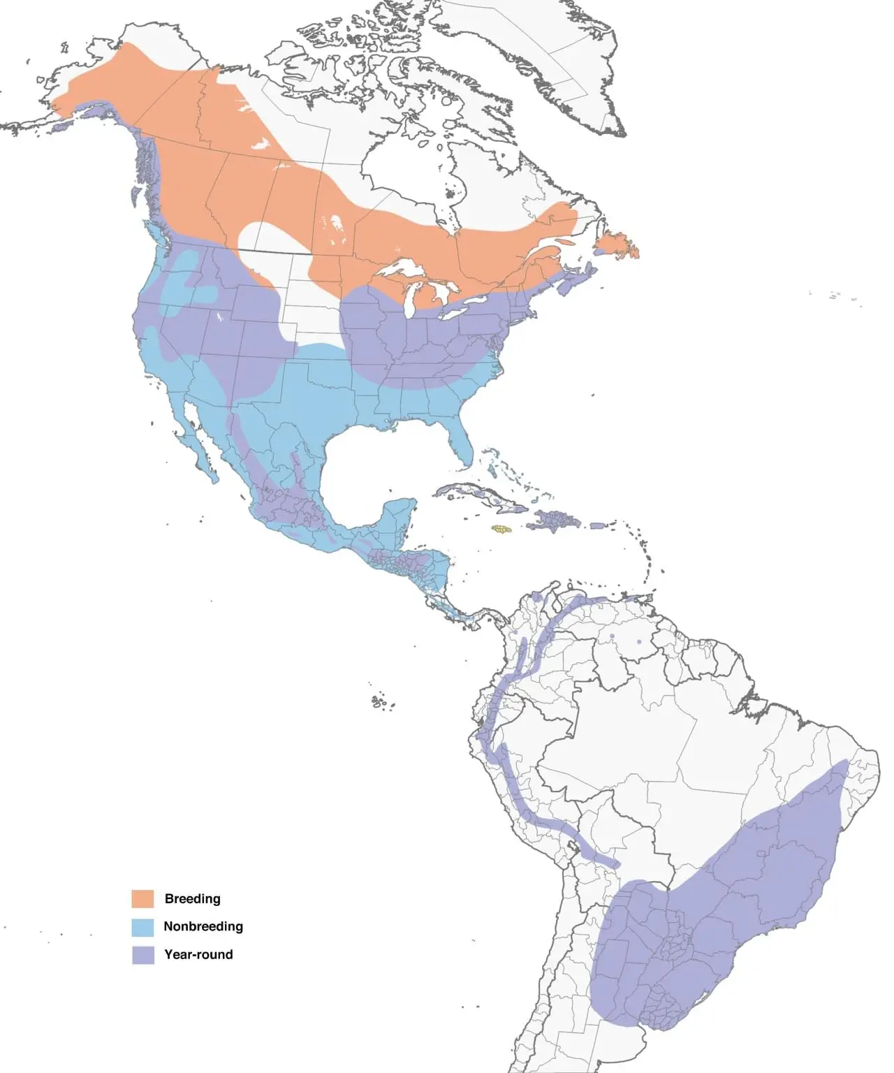 Sharp-shinned Hawk Range Map: