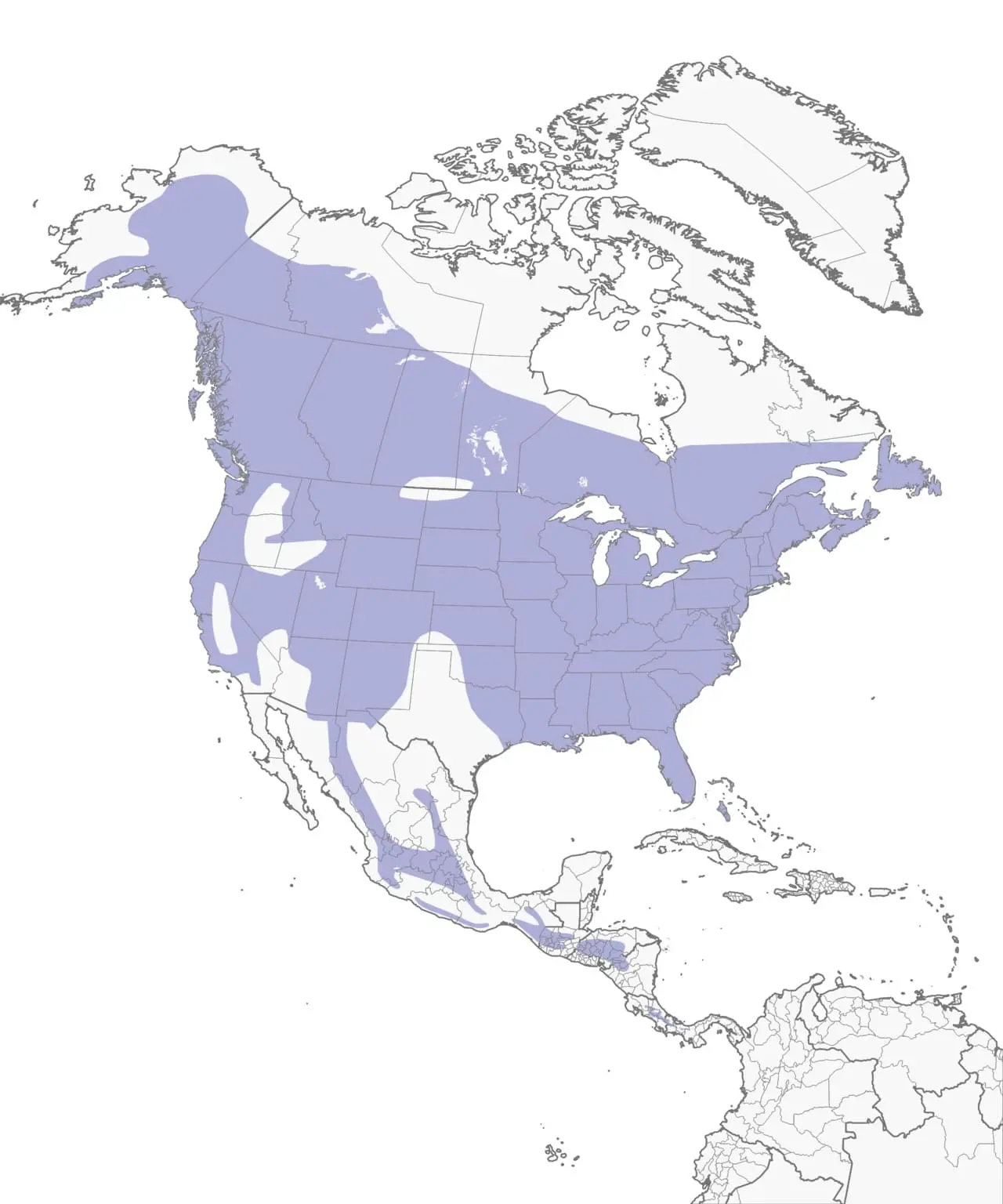 Hairy Woodpecker Range Map: Hairy Woodpecker Range Map: