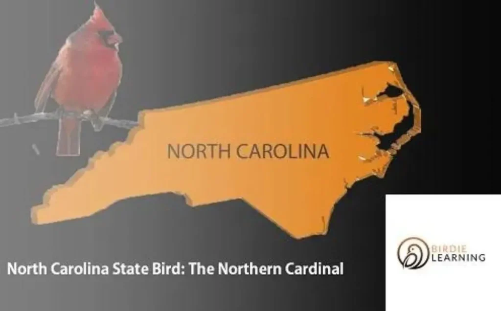 The Cardinal’s Ascension to State Bird Status