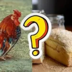 Can Chickens Have Bread