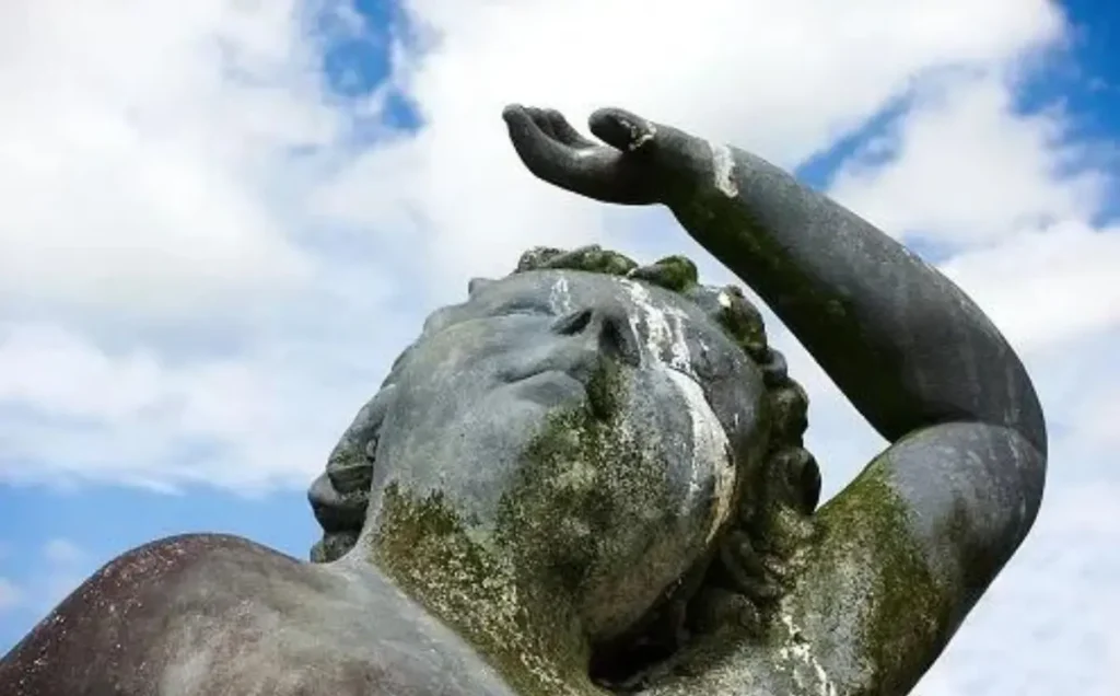 Decoding The Mystery: Why Is Bird Poop White